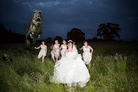 Rob Buttle Photography 1100317 Image 5